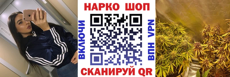 Наркошоп Новозыбков Альфа ПВП  Меф мяу мяу  kraken ссылки  Канабис  ГАШИШ 