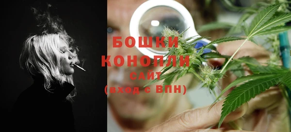 ГАЛЛЮЦИНОГЕННЫЕ ГРИБЫ Осинники