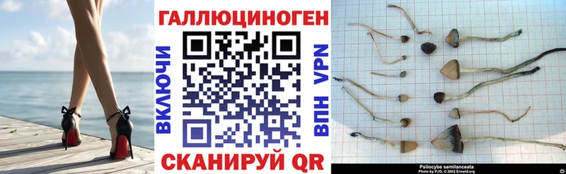 OMG как войти Новозыбков Галлюциногенные грибы ЛСД