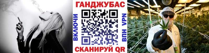 купить   Новозыбков  Каннабис семена 
